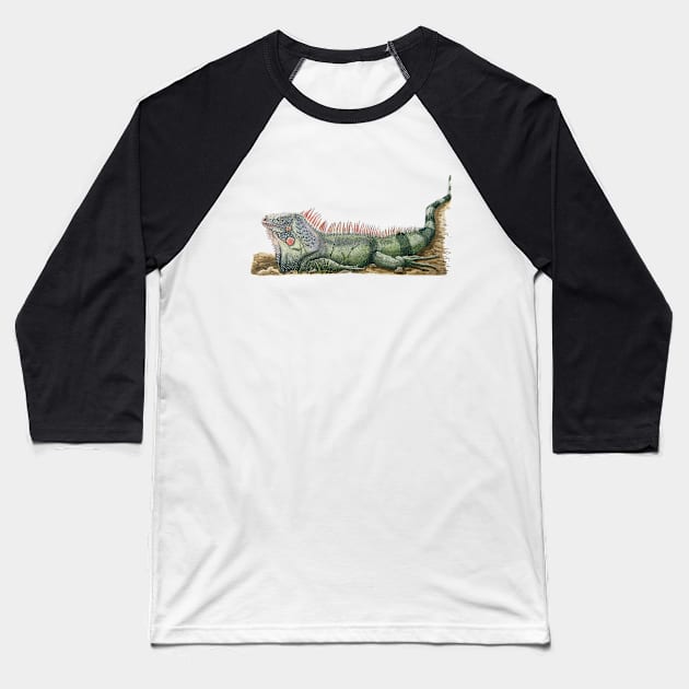 Green island iguana Baseball T-Shirt by AdrienneSmith.Artist